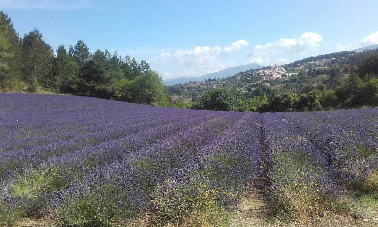 Le Petit Ventoux Malaucène Exterior foto